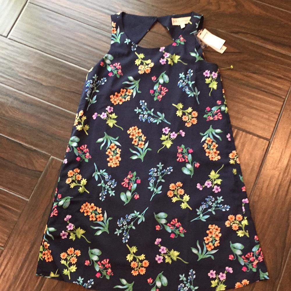 Philosophy dress